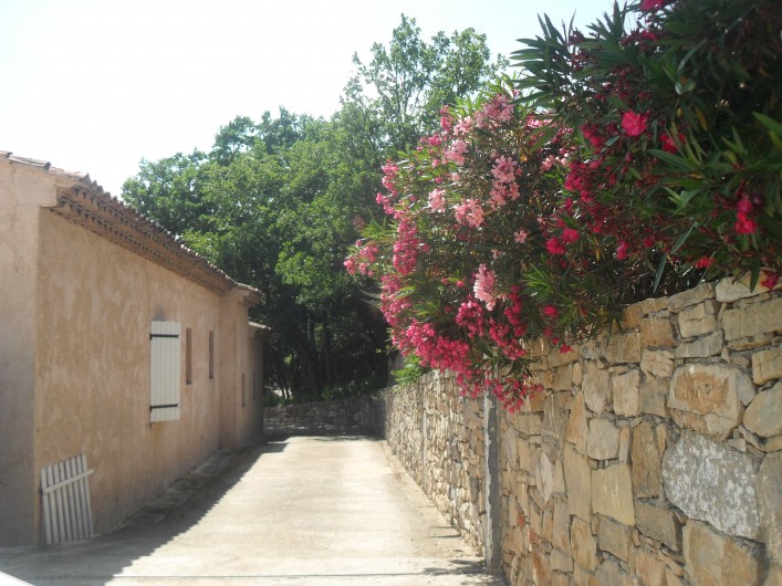Location de vacances - Villa à Cabasse - derrière de la villa