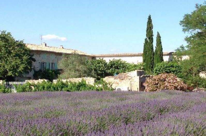 Location de vacances - Mas à Saint-Paul-Trois-Châteaux