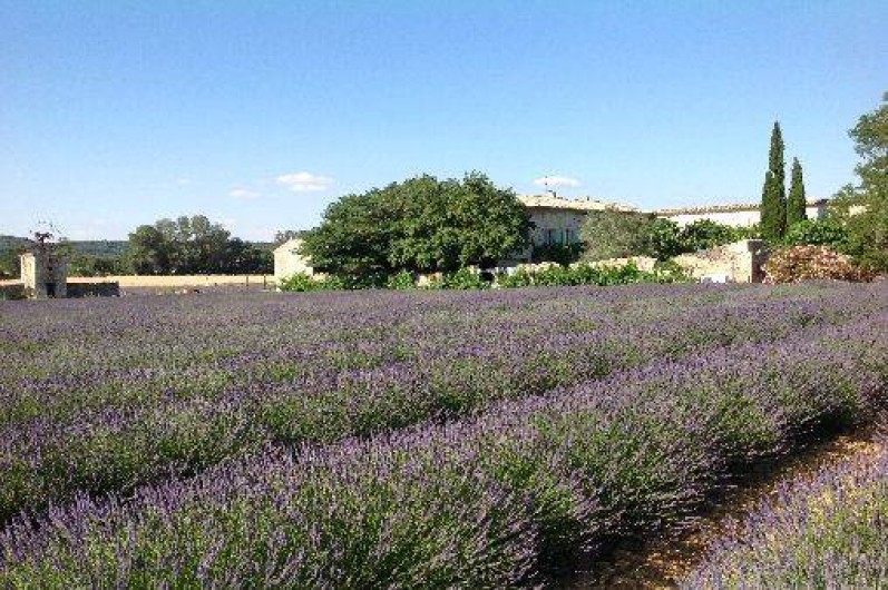 Location de vacances - Mas à Saint-Paul-Trois-Châteaux