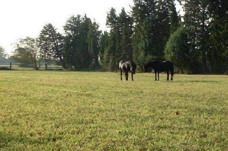 Location de vacances - Gîte à Monteux