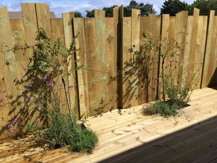 Location de vacances - Appartement à Pirou - Terrasse arrière