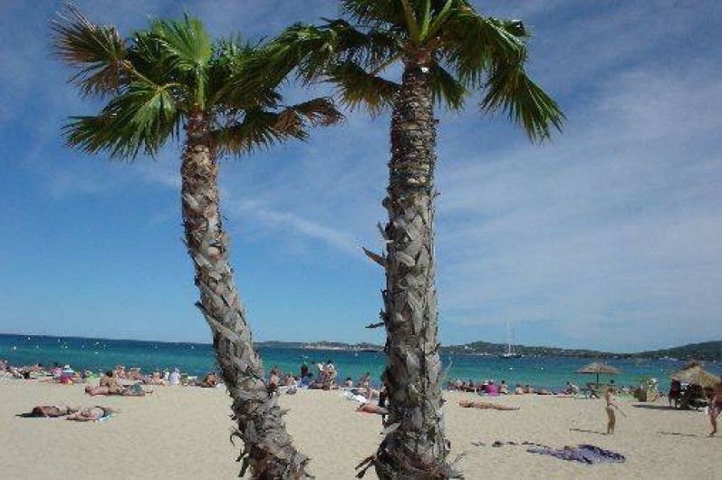 Location de vacances - Camping à Grimaud