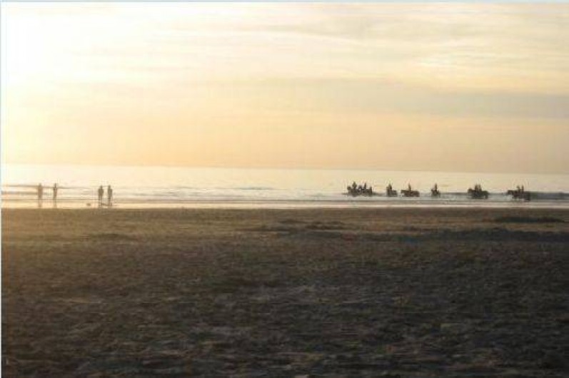 Location de vacances - Château - Manoir à Saint-Yzans-de-Médoc