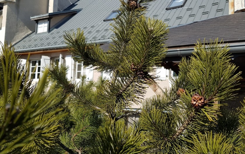 Location de vacances - Maison - Villa à Villard-de-Lans - Maison côté jardin