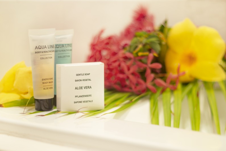 Location de vacances - Villa à Saint-Martin