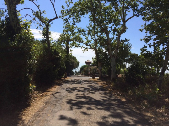 Location de vacances - Gîte à Vias - Allée menant au domaine