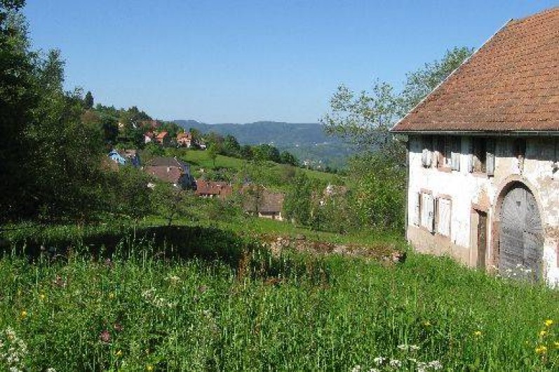 Location de vacances - Gîte à Solbach