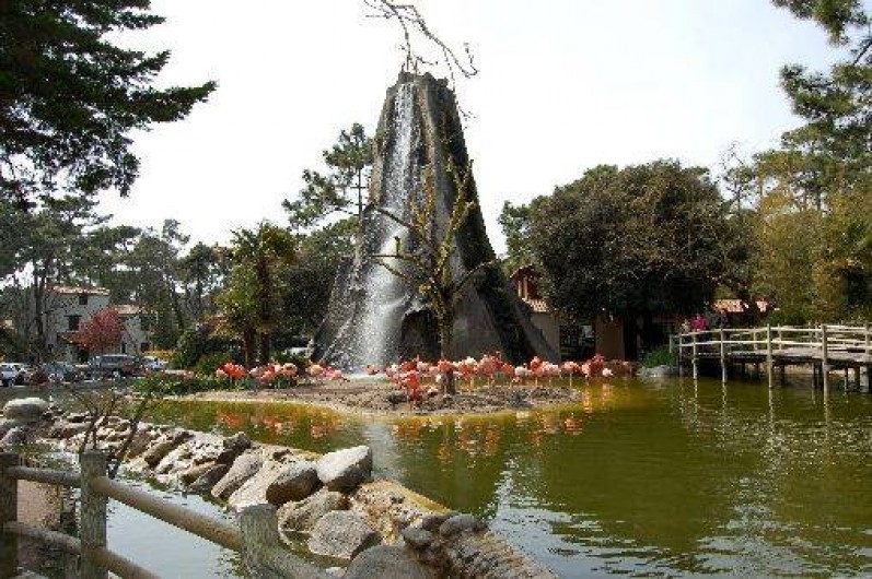 Location de vacances - Camping à La Palmyre