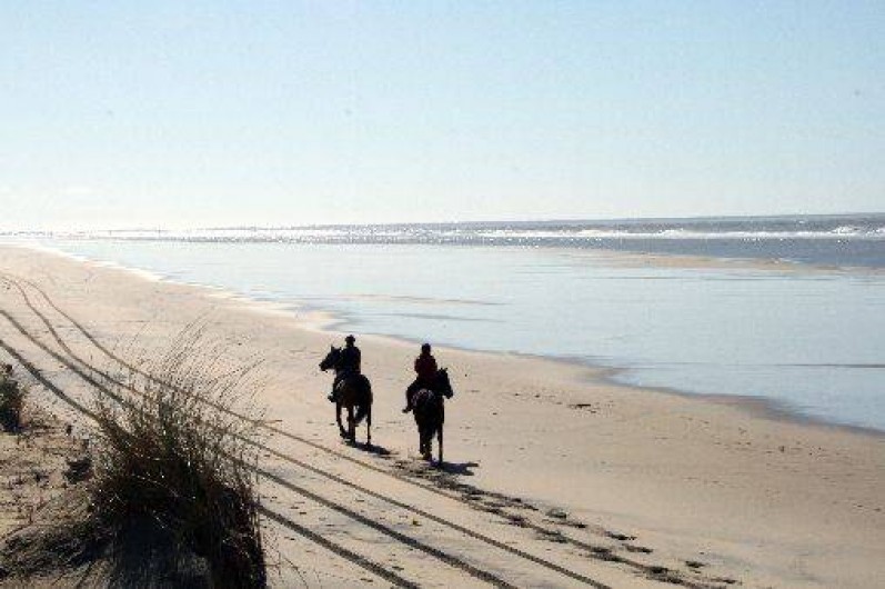 Location de vacances - Camping à La Palmyre