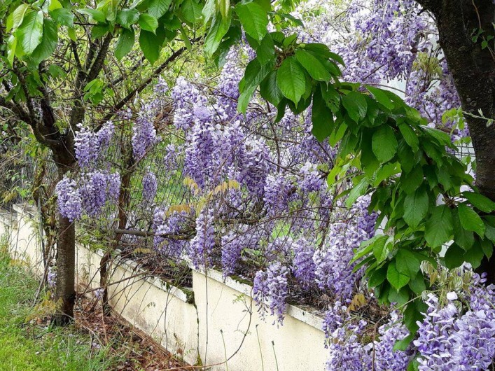 Location de vacances - Gîte à Saint-Geyrac