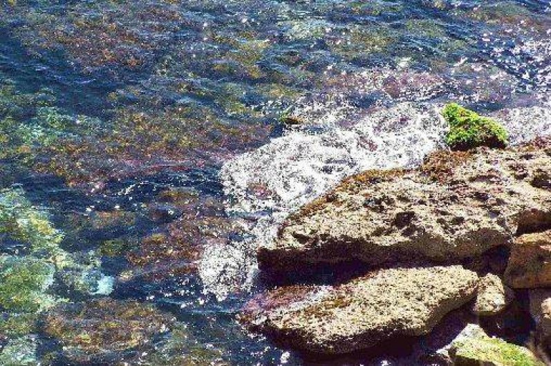 Location de vacances - Villa à Carry-le-Rouet