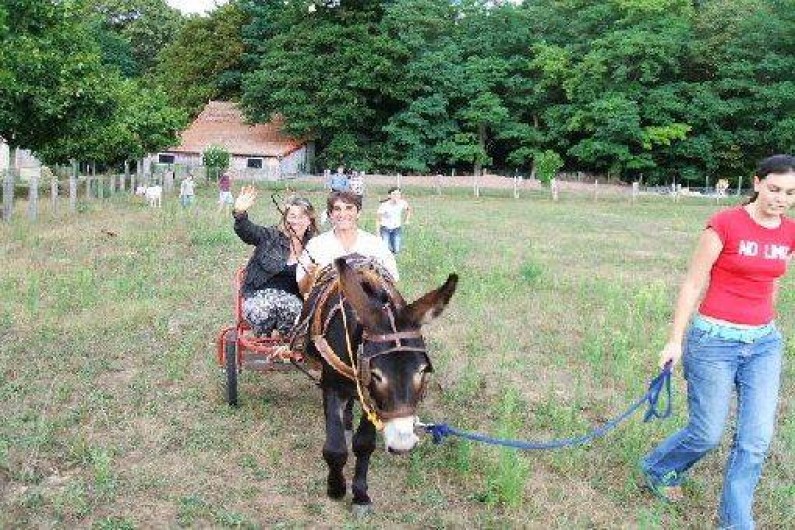 Location de vacances - Château - Manoir à Écommoy
