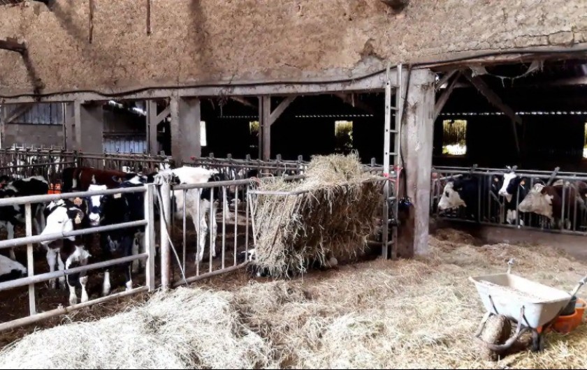 Location de vacances - Gîte à Wierre-Effroy