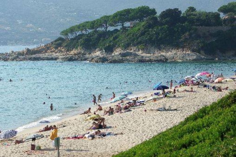 Location de vacances - Maison - Villa à Vico