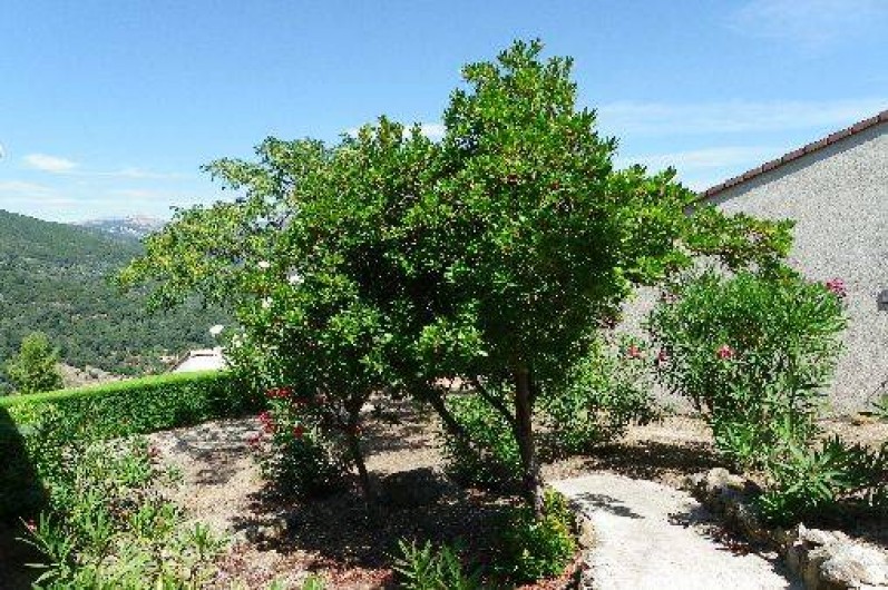 Location de vacances - Maison - Villa à Vico