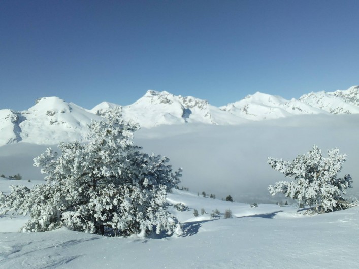 Location de vacances - Chalet à La Joue du Loup