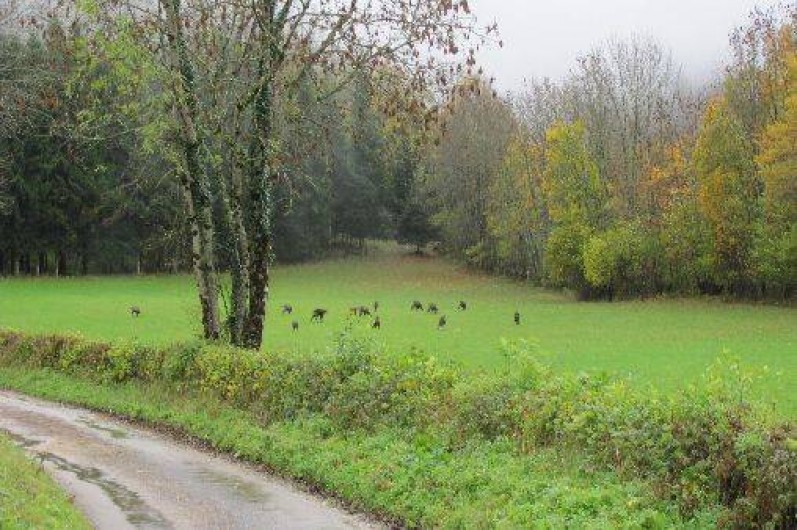 Location de vacances - Gîte à Prénovel