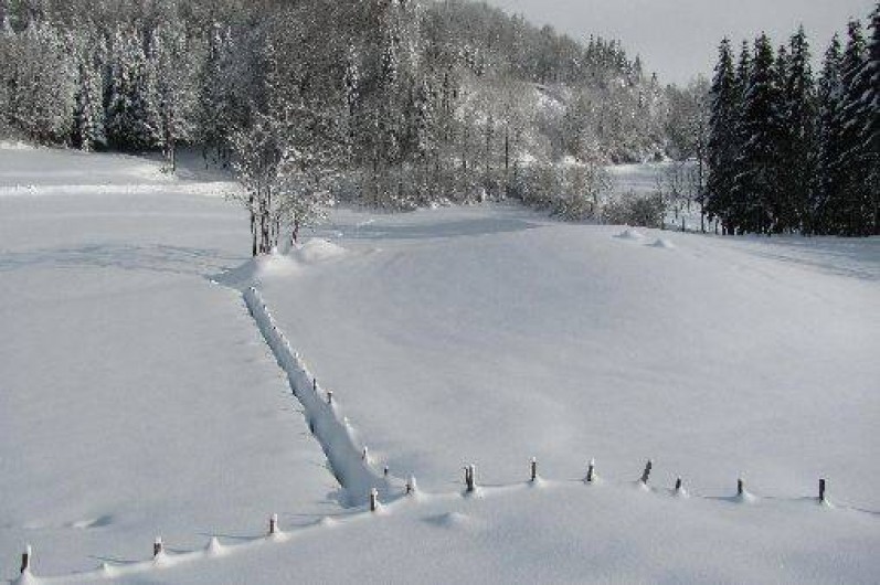 Location de vacances - Gîte à Prénovel