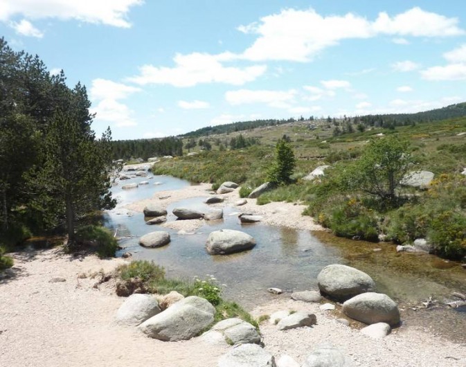Location de vacances - Gîte à Le Pont-de-Montvert - Le Pont du Tarn