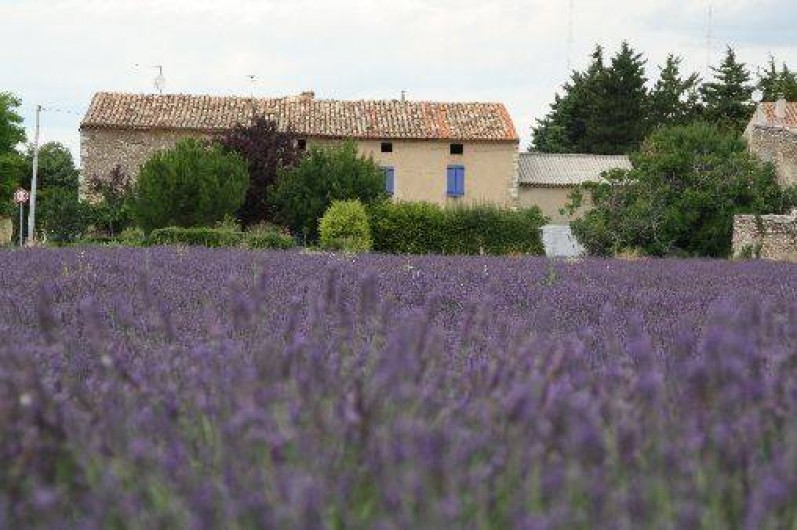 Location de vacances - Gîte à Sainte-Croix-du-Verdon