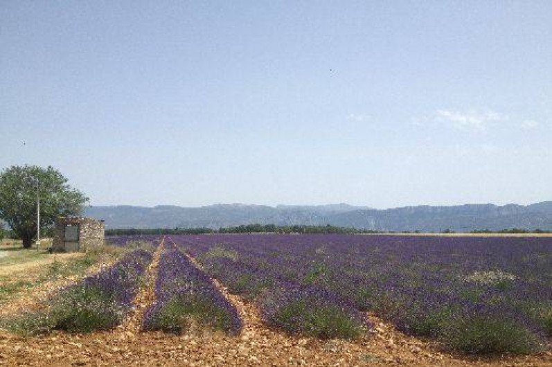 Location de vacances - Gîte à Sainte-Croix-du-Verdon