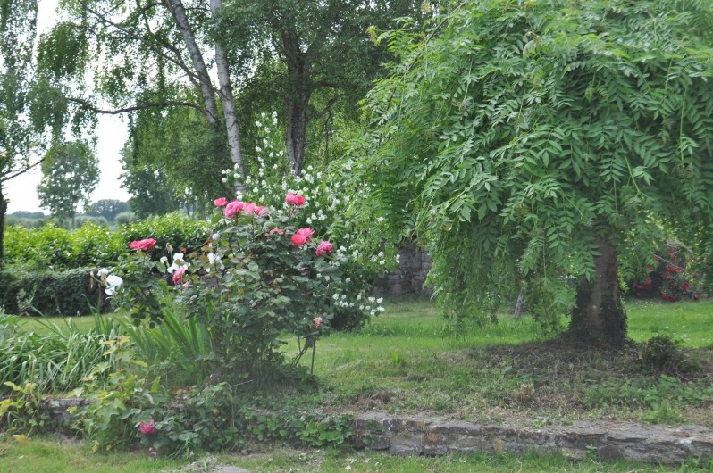 Location de vacances - Chambre d'hôtes à Mont-Dol - jardin