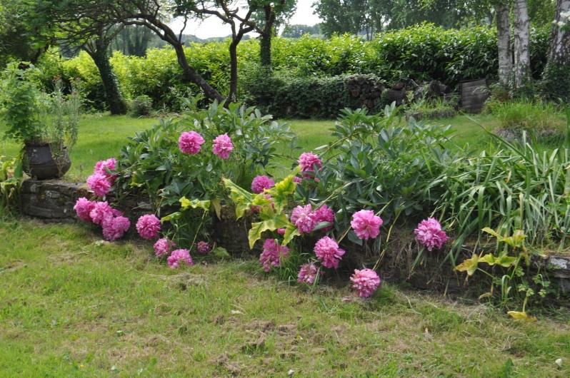 Location de vacances - Chambre d'hôtes à Mont-Dol