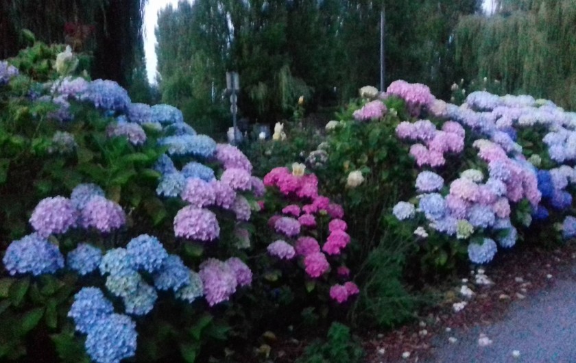 Location de vacances - Chambre d'hôtes à Mont-Dol
