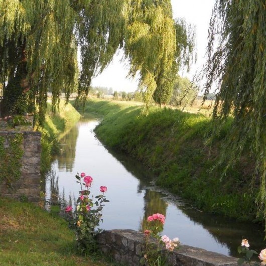 Location de vacances - Chambre d'hôtes à Mont-Dol - rivière