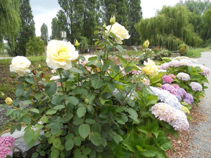 Location de vacances - Chambre d'hôtes à Mont-Dol