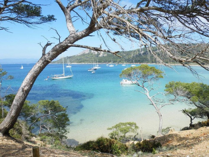 Location de vacances - Studio à Cavalaire-sur-Mer - La transparence de la mer