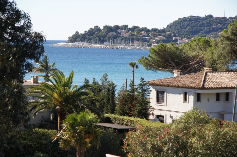 Location de vacances - Studio à Cavalaire-sur-Mer - Vue depuis un studio