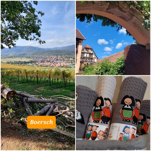 Location de vacances - Chalet à Bœrsch - Vue de Boersch. Ville médiévale