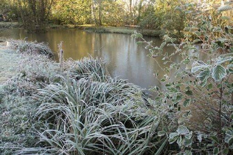 Location de vacances - Gîte à Niderviller
