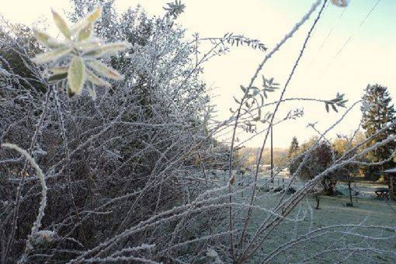 Location de vacances - Gîte à Niderviller
