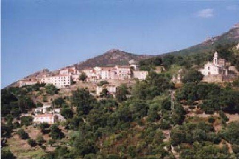 Location de vacances - Appartement à Saint-Florent