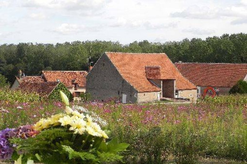 Location de vacances - Gîte à Isle-et-Bardais