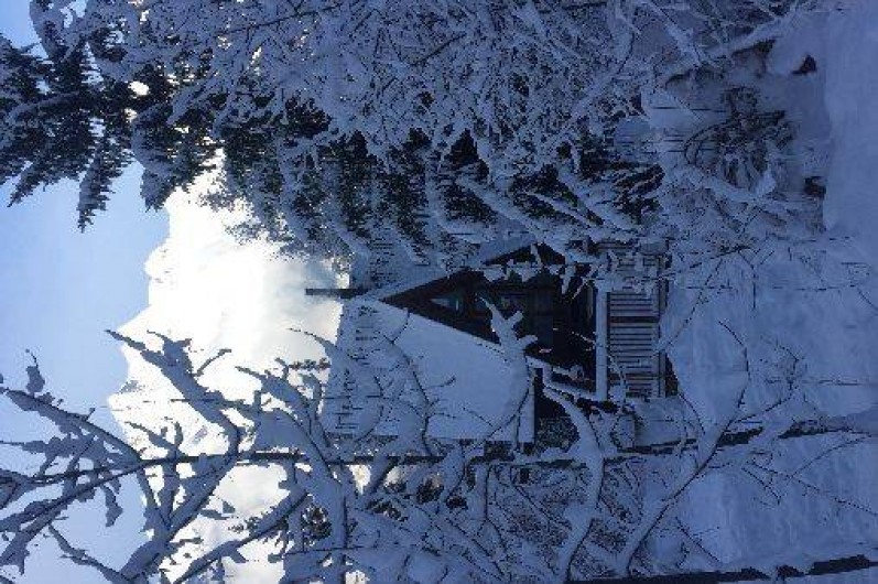Location de vacances - Chalet à Les Arcs
