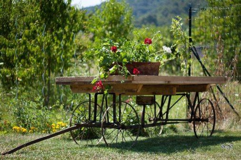 Location de vacances - Chambre d'hôtes à Kintzheim