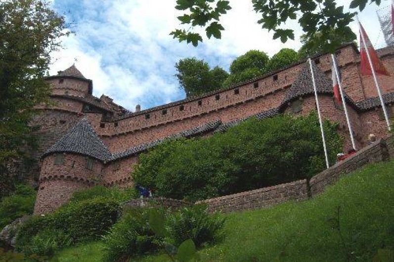 Location de vacances - Chambre d'hôtes à Kintzheim