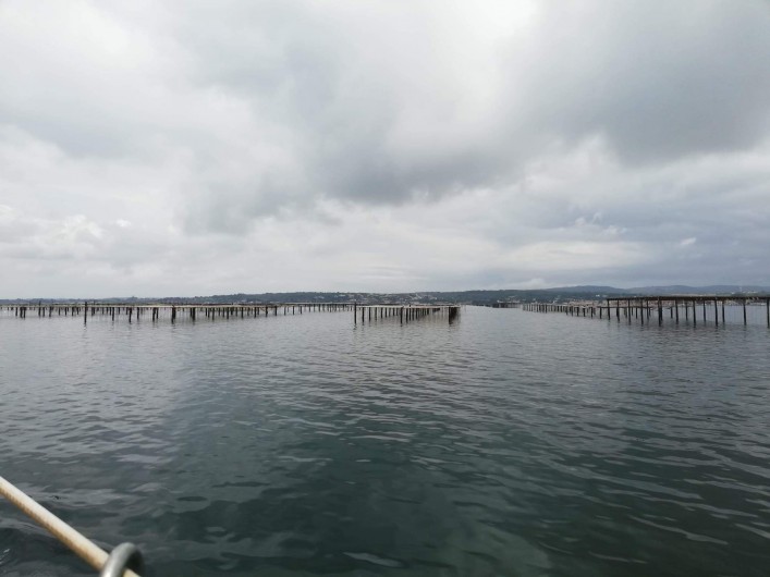 Location de vacances - Péniche à Frontignan - VISITE DES PARC A HUÎTRE DE BOUZIGUE PENDENT LA PROMENADE