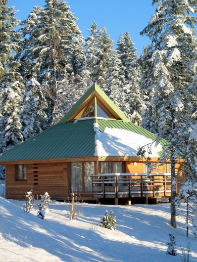 Location de vacances - Chalet à Prénovel