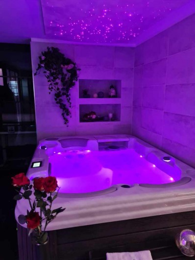 Location de vacances - Appartement à Reims