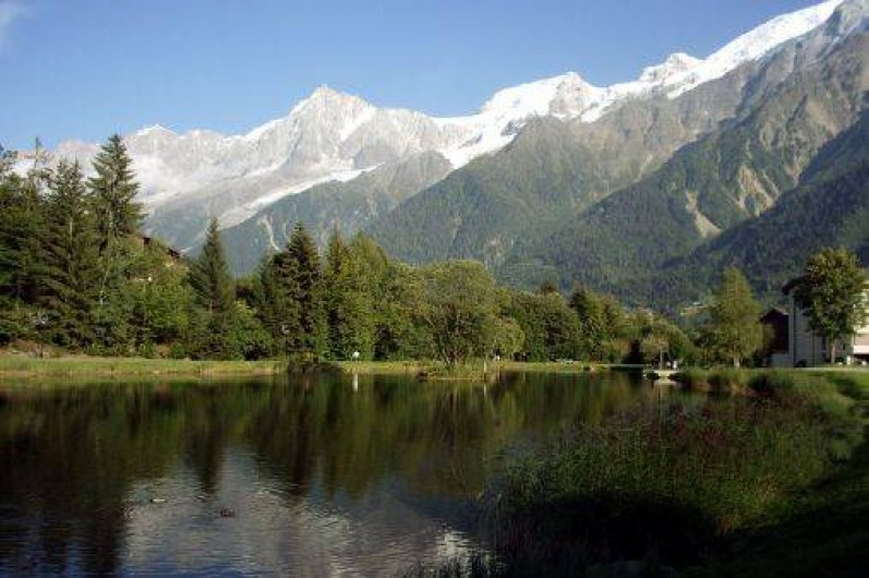 Location de vacances - Chalet à Les Houches