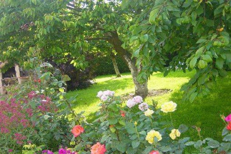 Location de vacances - Gîte à Ladoix-Serrigny - jardin