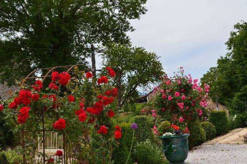 Location de vacances - Gîte à Ladoix-Serrigny - jardin