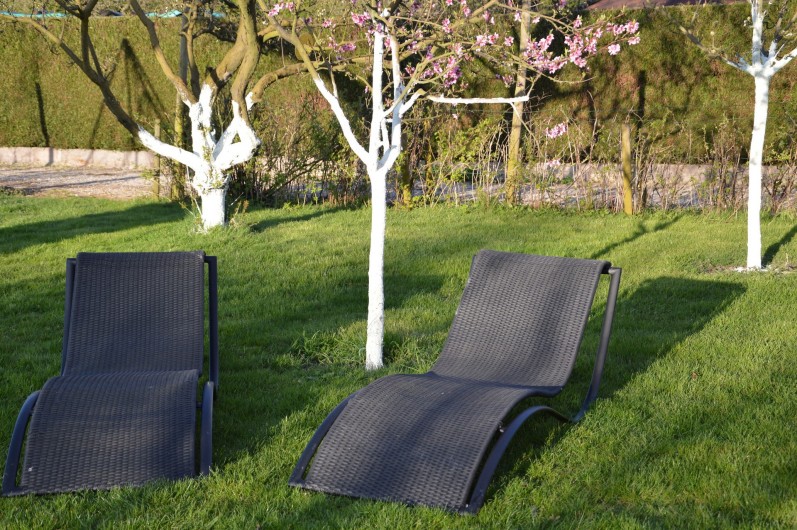 Location de vacances - Gîte à Ladoix-Serrigny - jardin