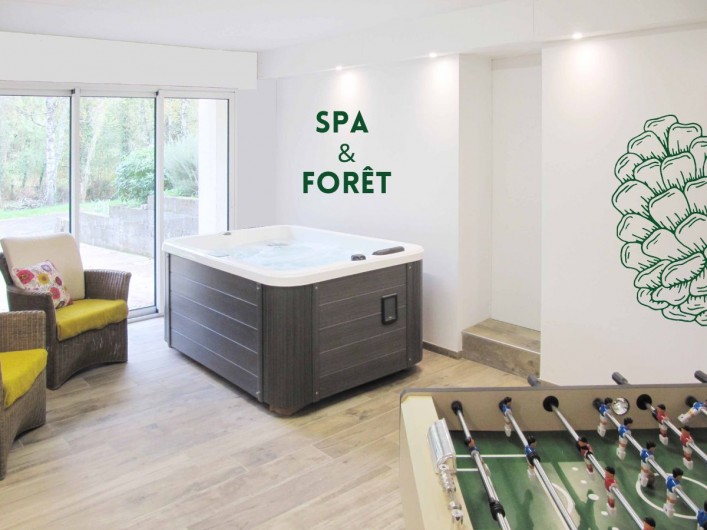 Location de vacances - Villa à Saumur