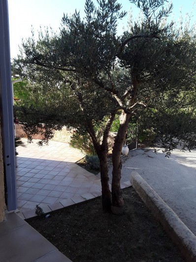 Location de vacances - Villa à Saint-Martin-de-Valgalgues