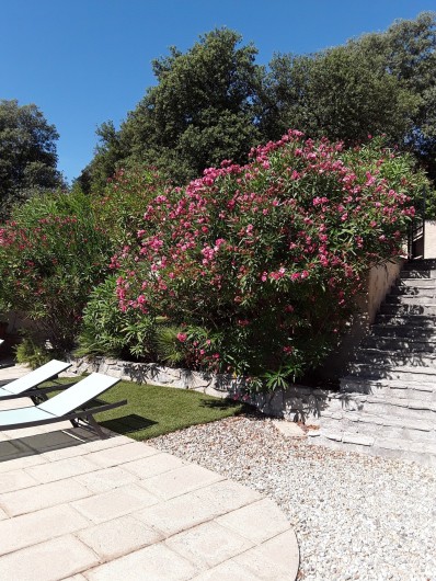 Location de vacances - Villa à Saint-Martin-de-Valgalgues